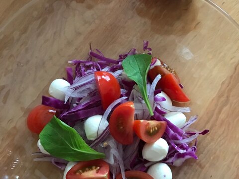 レッド系（紫？）野菜とモッツァレラのサラダ